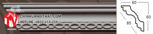GA-81006-60
