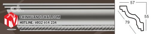 GA-81004